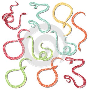 Collection of ten colorful striped snakes hand drawn