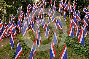 A collection of Thai flags on a grass mound.