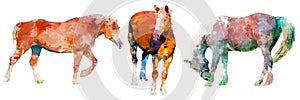 Collection of three digital paintings of horses