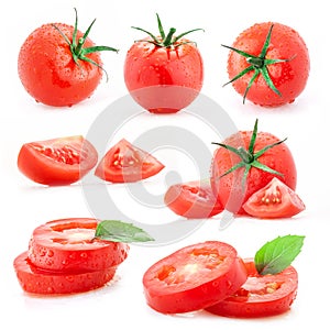 Collection of tomatoes photo