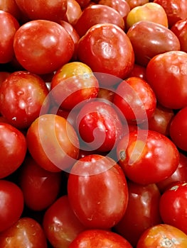 collection of tomatoes at the minimarket