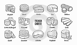 Collection of traditional French cheese. Hand drawn sketch in doodle style.