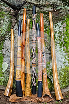 Collection of Didgeridoos