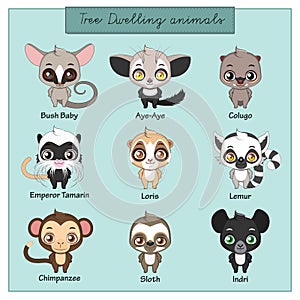 Collection of tree dwelling animals