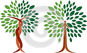 Collection tree logo