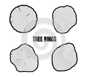 Collection of tree rings isolated on white background