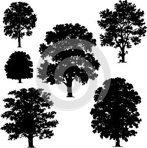 Collection of tree vectors
