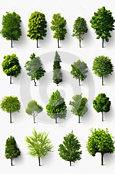 Collection of trees and bushes on white background with shadows. Generative AI