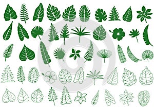 Collection of tropical greenery leaf plant,leaves black.vector illustration