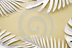 Collection of tropical leaves,foliage plant in white.Abstract leaf decoration design background