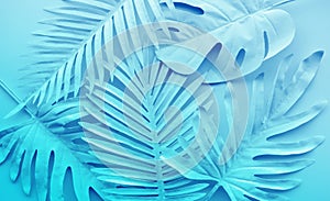 Collection of tropical leaves,foliage plant in white color.Abstract leaf decoration design background