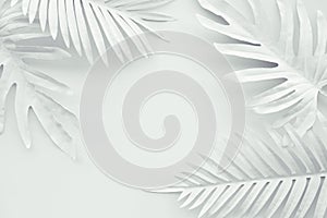 Collection of tropical leaves,foliage plant in white color with space background.Abstract leaf decoration design.Exotic nature art