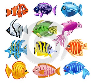 Collection Tropicals colorful fish. Addis butterfish, French angelfish, Reef fish, Clownfish, an others. Underwater