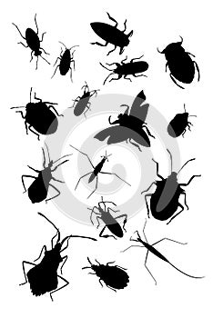 Collection of true bugs
