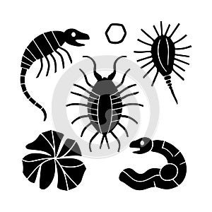 Microscopic organisms vector, Microbial life illustration