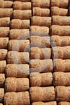 Collection of used wine and sparkling wine corks