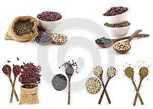 Collection of variety beans - healthy and high nourish protein food -Top view of many colors - black, white, red, and mung bean on