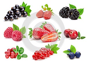 Collection of various berries on the white background
