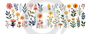 Collection of Various Blooming Flowers and Leaves in Vector Illustration