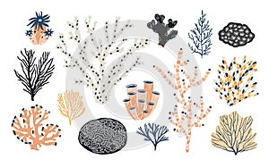 Collection of various corals and seaweed or algae isolated on white background. Beautiful underwater species, deep sea