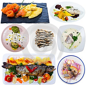 Collection of various fish dishes