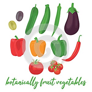 Collection of various hand drawn, colorful vegetables that are botanically classified as fruit, isolated on a white background.