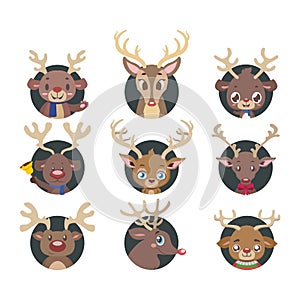 Collection of various reindeer portrait avatars