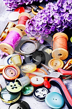 Tools for needlework and lilac branch