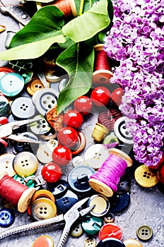 Tools for needlework and lilac branch