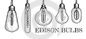 Collection of various shaped hanging edison bulbs