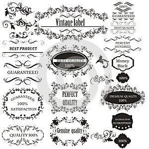 Collection of vector calligraphic elements for design