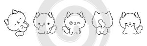 Collection of Vector Cartoon Ragamuffin Kitty Coloring Page. Set of Kawaii Isolated Animals Outline for Stickers, Baby