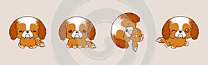 Collection of Vector Cartoon Shih Tzu Dog Art. Set of Kawaii Isolated Puppy Illustrations for Prints for Clothes