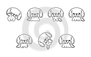 Collection of Vector Cartoon Shih Tzu Dog Coloring Page. Set of Kawaii Isolated Puppy Outline for Stickers, Baby Shower