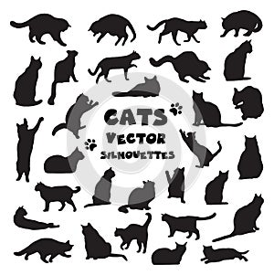 Collection of vector cats silhouettes