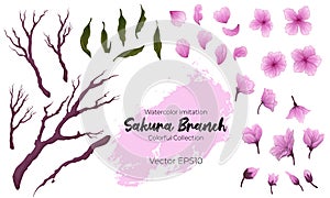 Collection of vector colorful hand drawn illustration of blossom sakura branch, leaves, flower, petals and bud. Romantic spring as