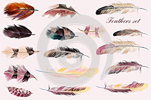 Collection of vector feathers in pink soft colors. Fashion illus