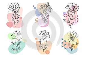 Collection of vector floral composition, with line art flowers and flat colorful shapes isolated on white background