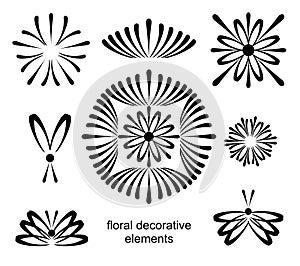 Collection of vector floral decorative elements