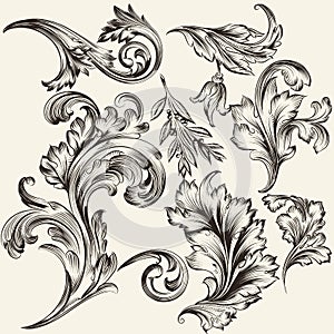 Collection of vector flourishes photo