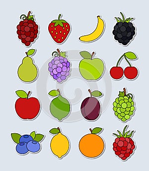 Collection of vector fruit stickers