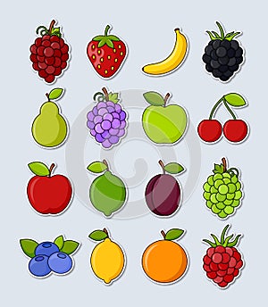 Collection of vector fruit stickers