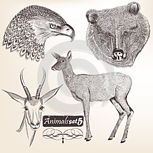 Collection of vector hand drawn animals