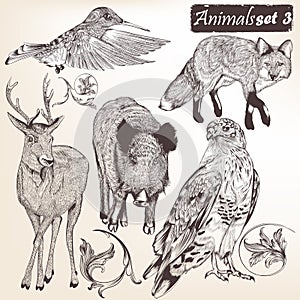 Collection of vector hand drawn detailed animals