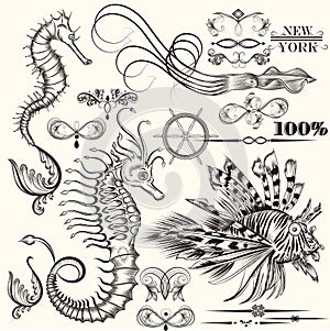 Collection of vector hand drawn sea elements