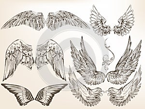 Collection of vector hand drawn wings for design