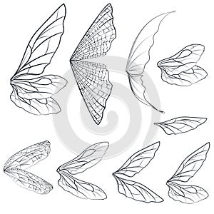 Collection of vector light wings for design isolated on white