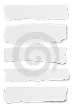 Collection of vector oblong torn paper tears isolated on white background