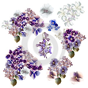 A collection of vector realistic flowers in watercolor style, purple and blue colors