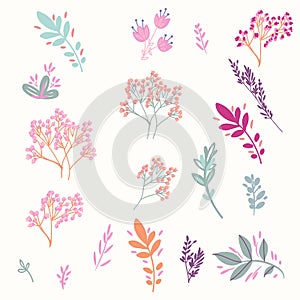 Collection of vector retro florals in rustic style